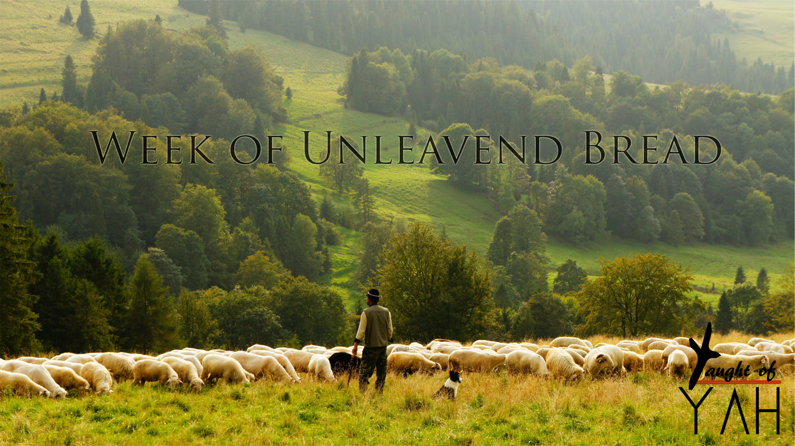 Week of Unleavened Bread