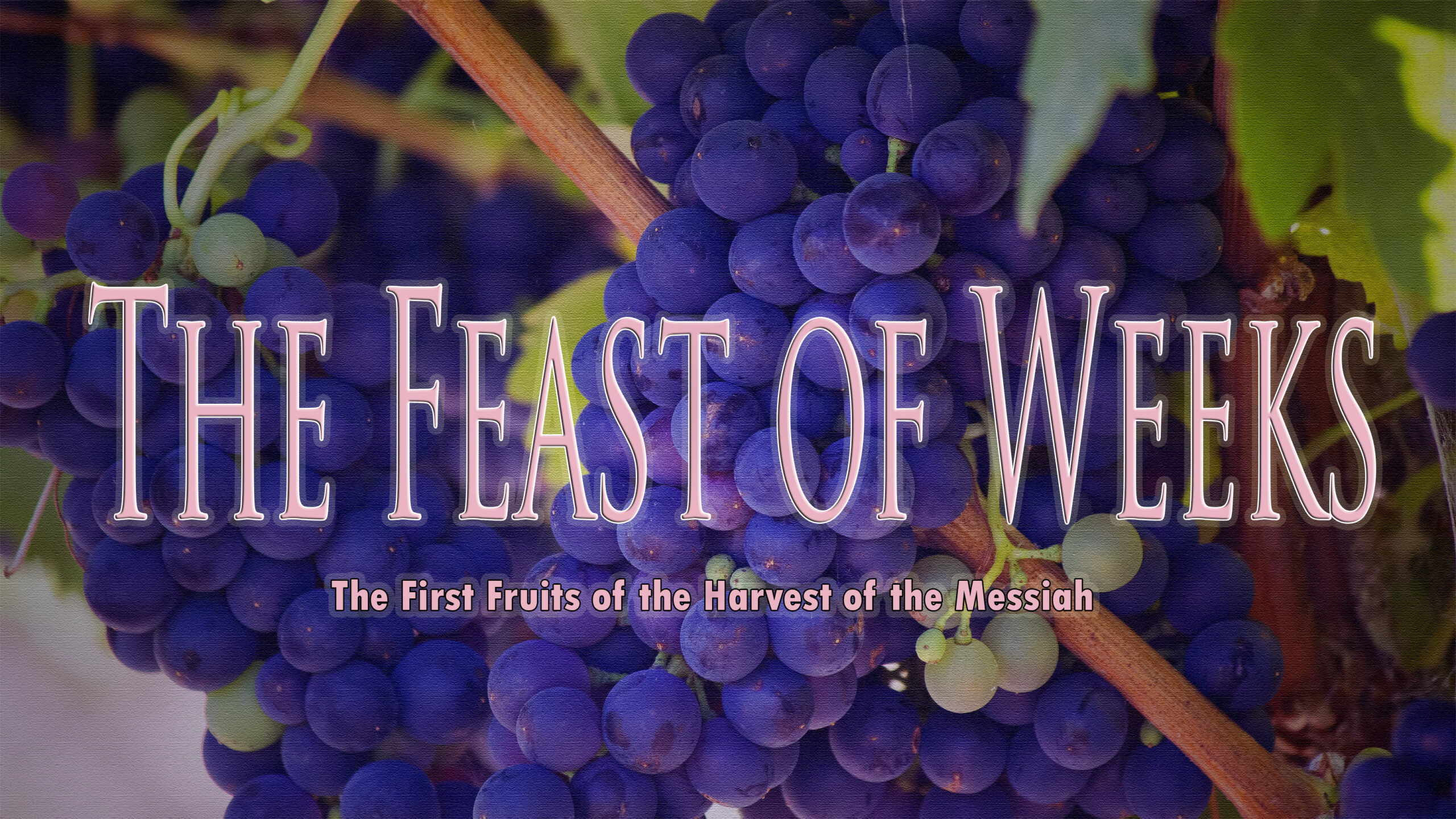The Feast of Weeks